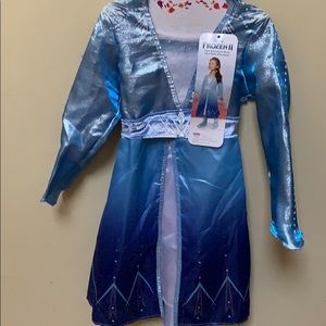 Frozen 2 Elsa costume